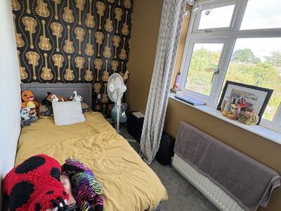 Picture 13